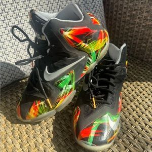 Lebron Everglades